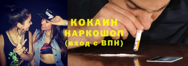 винт Инта