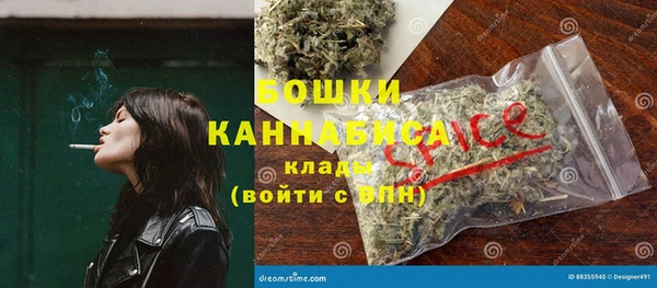 винт Инта