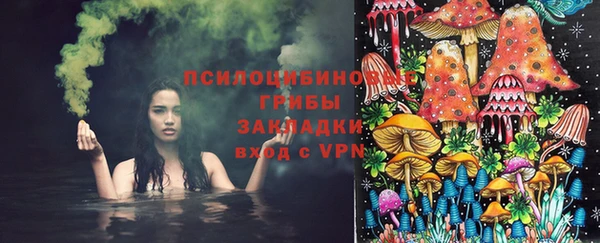 Альфа ПВП Каменногорск