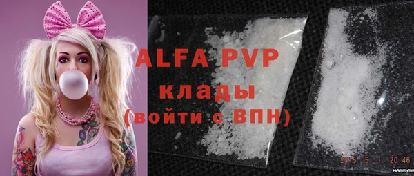 прущий лед Каменка