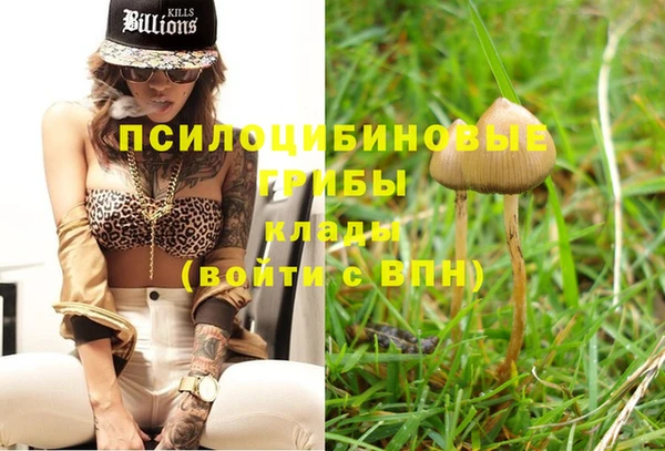 гидропоника Инсар