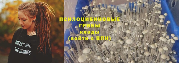 прущий лед Каменка