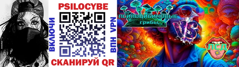 Галлюциногенные грибы мицелий  Купить где  Каменногорск 